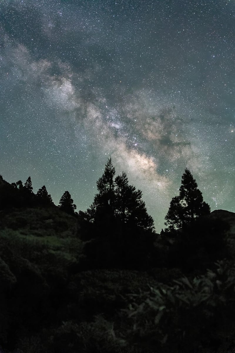 Milky Way Constellation
